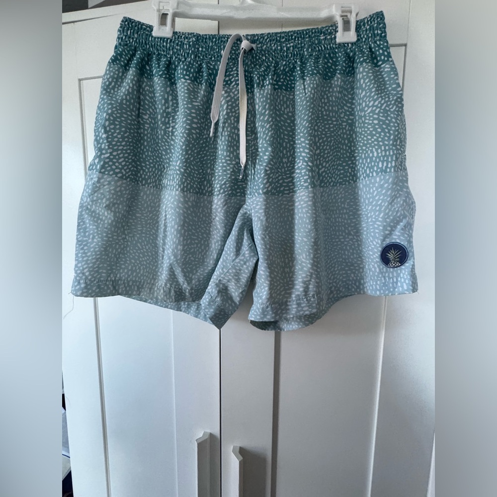 Chubbies bathing suit. Xl